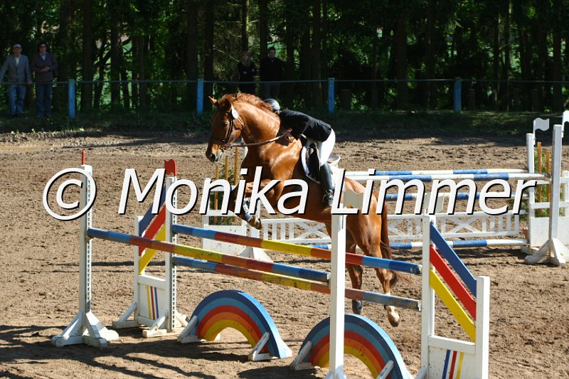 104M8976_Spring M_m.Stechen.JPG